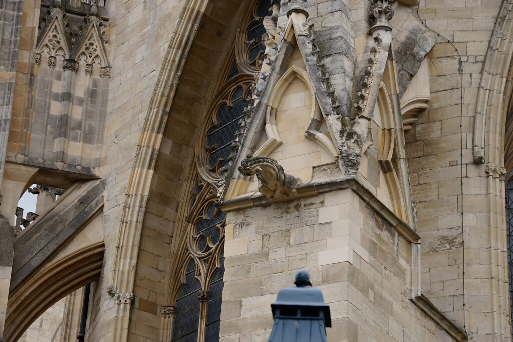 DSC4708.jpg