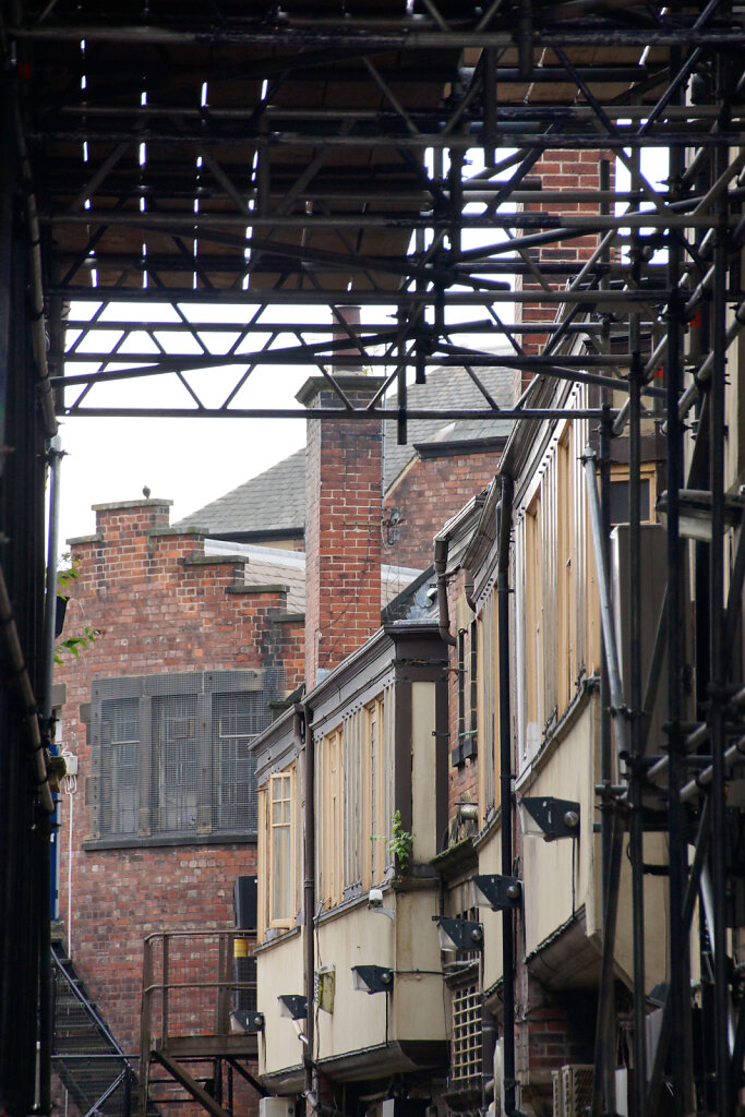 DSC4809.jpg
