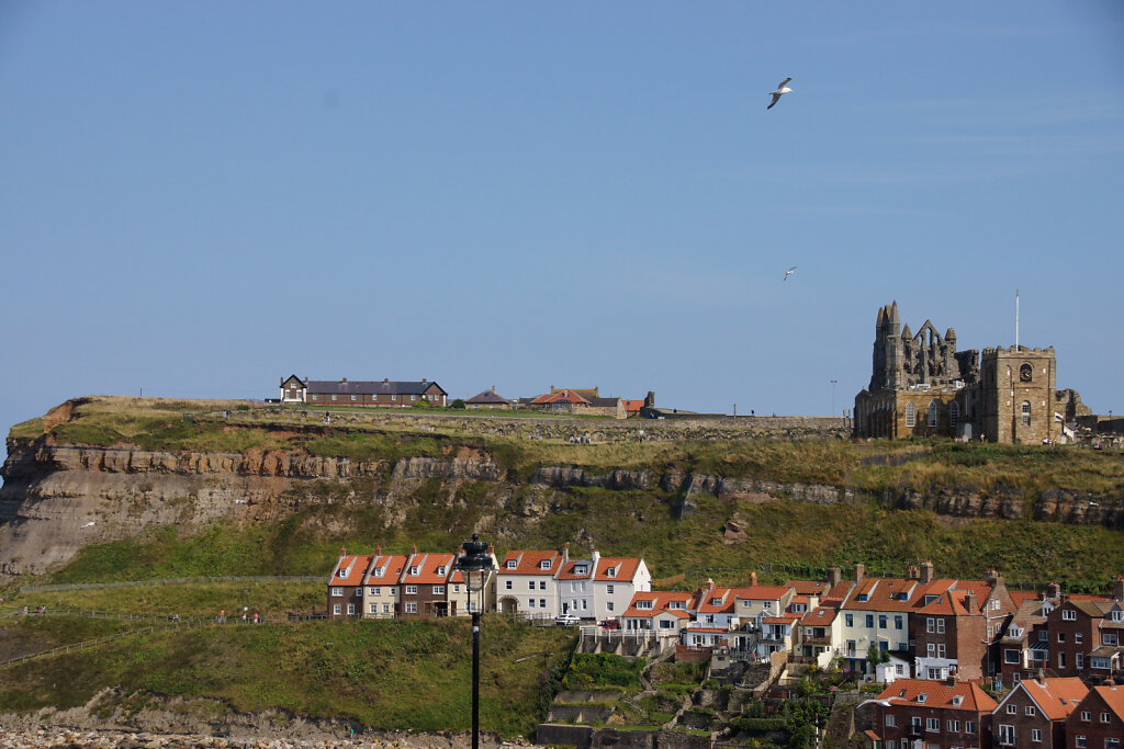 DSC5131.jpg