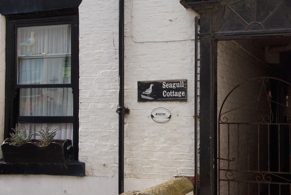 DSC5150.jpg