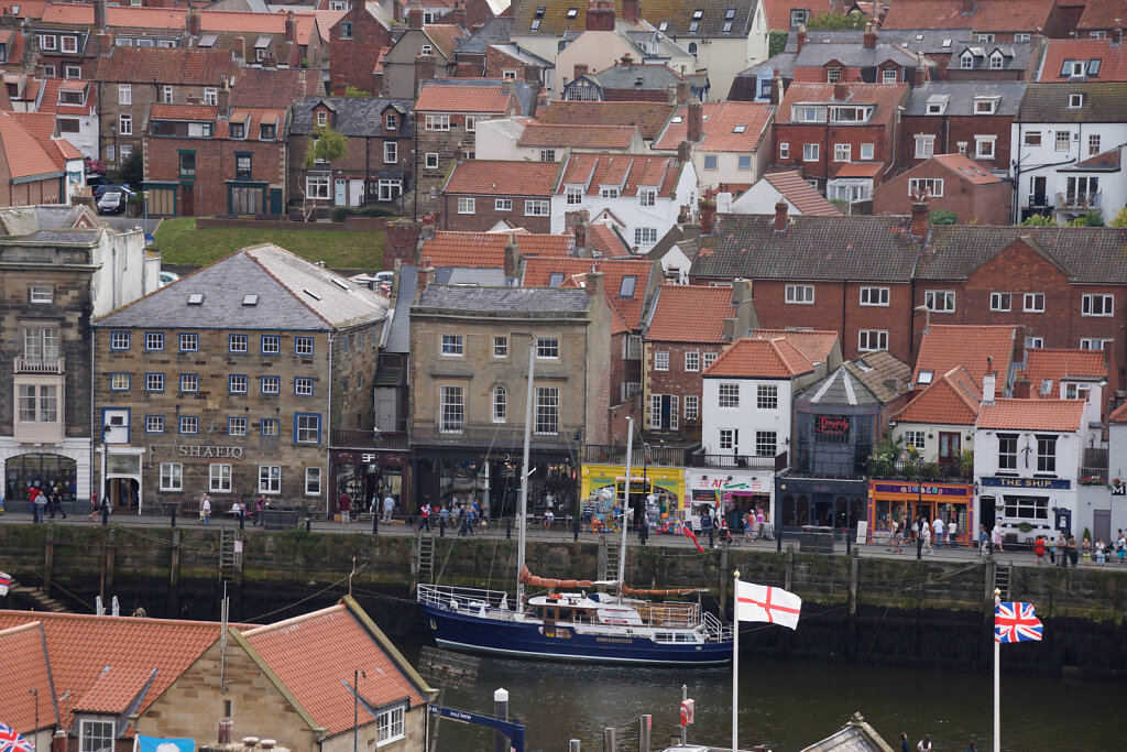 DSC5155.jpg
