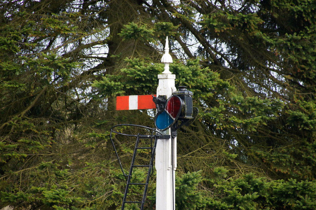 DSC5180.jpg