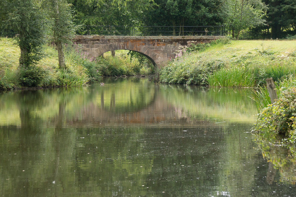 DSC5289.jpg