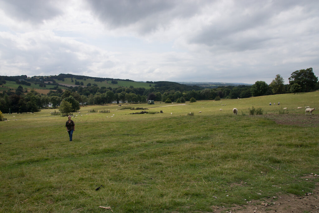 DSC5309.jpg