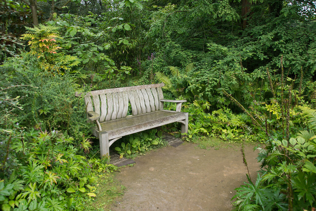 DSC5425.jpg