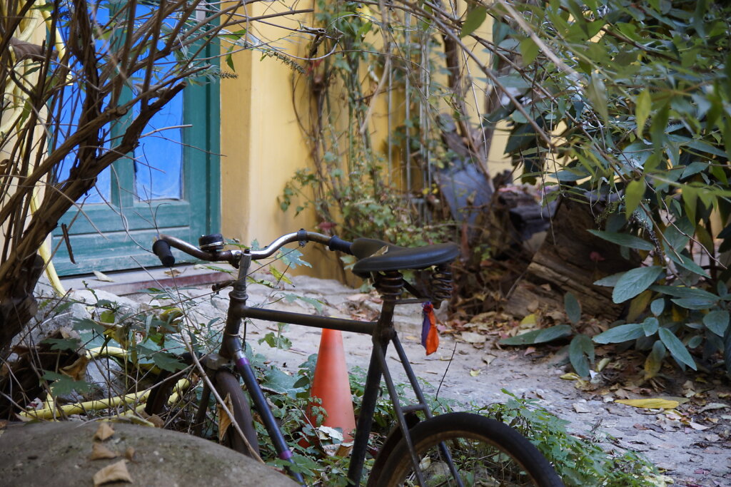 DSC2509.JPG