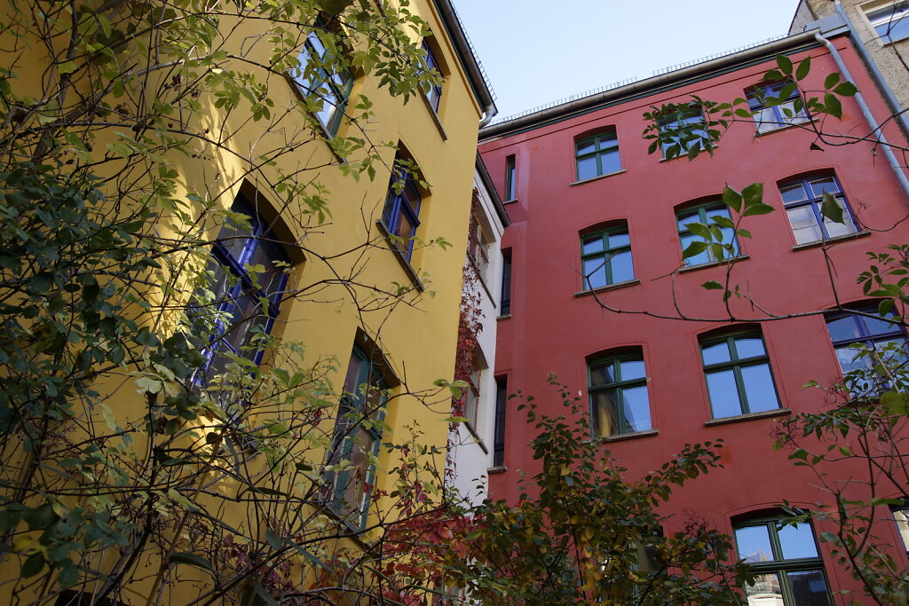 DSC2515.JPG