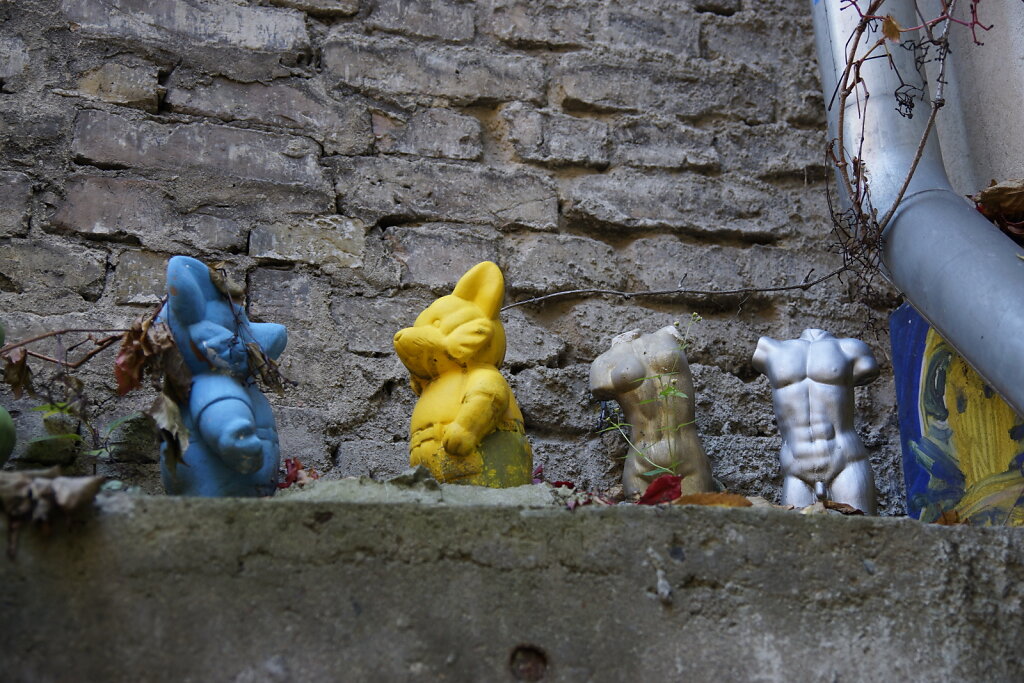 DSC2519.JPG
