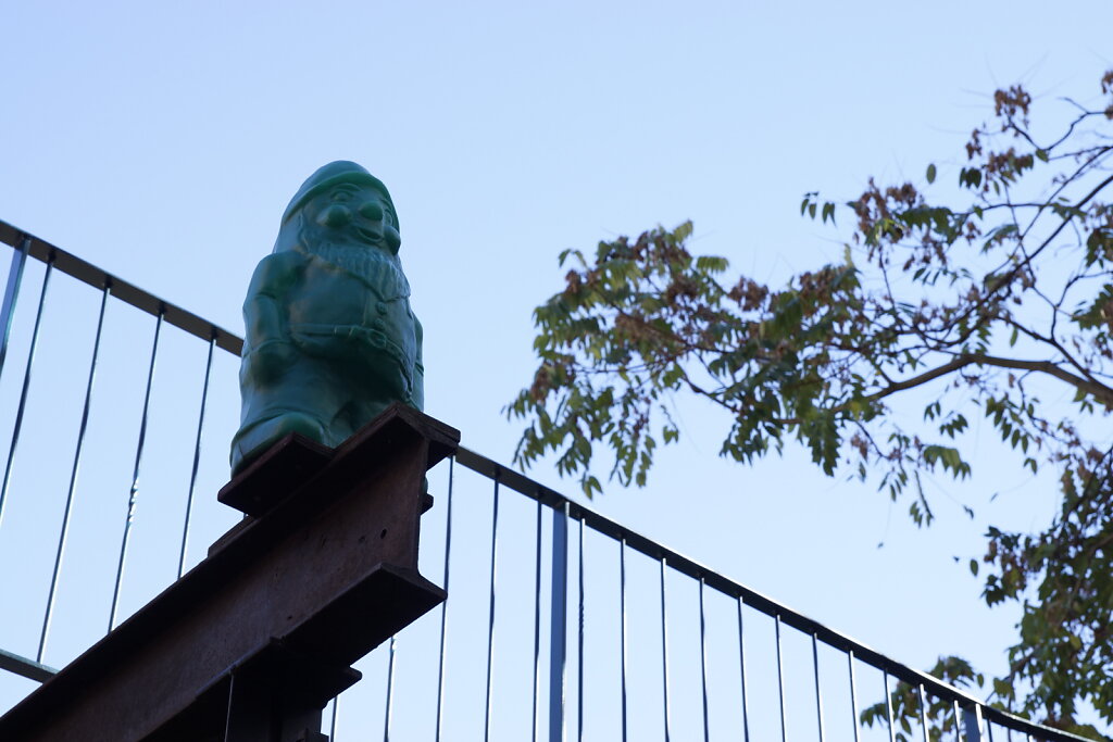 DSC2526.JPG