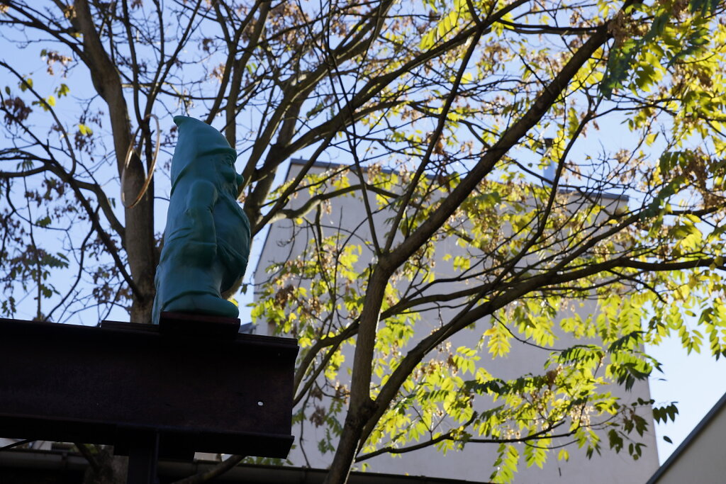 DSC2529.JPG