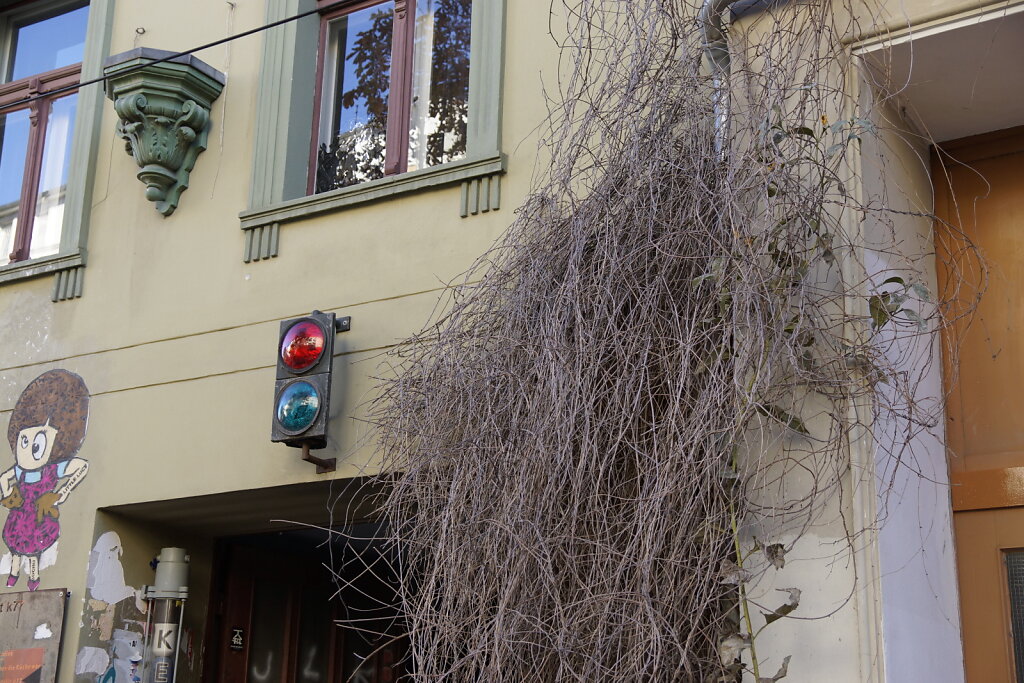 DSC2534.JPG