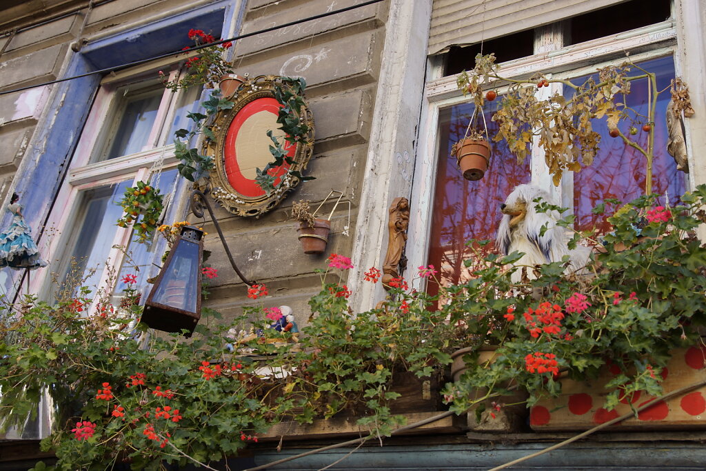 DSC2559.JPG