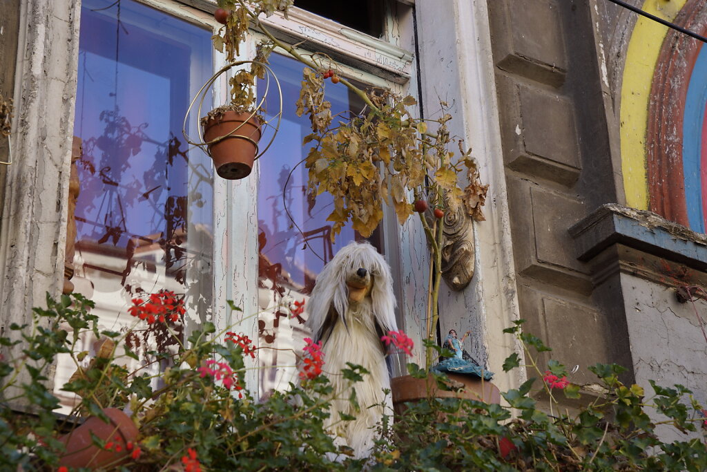 DSC2560.JPG