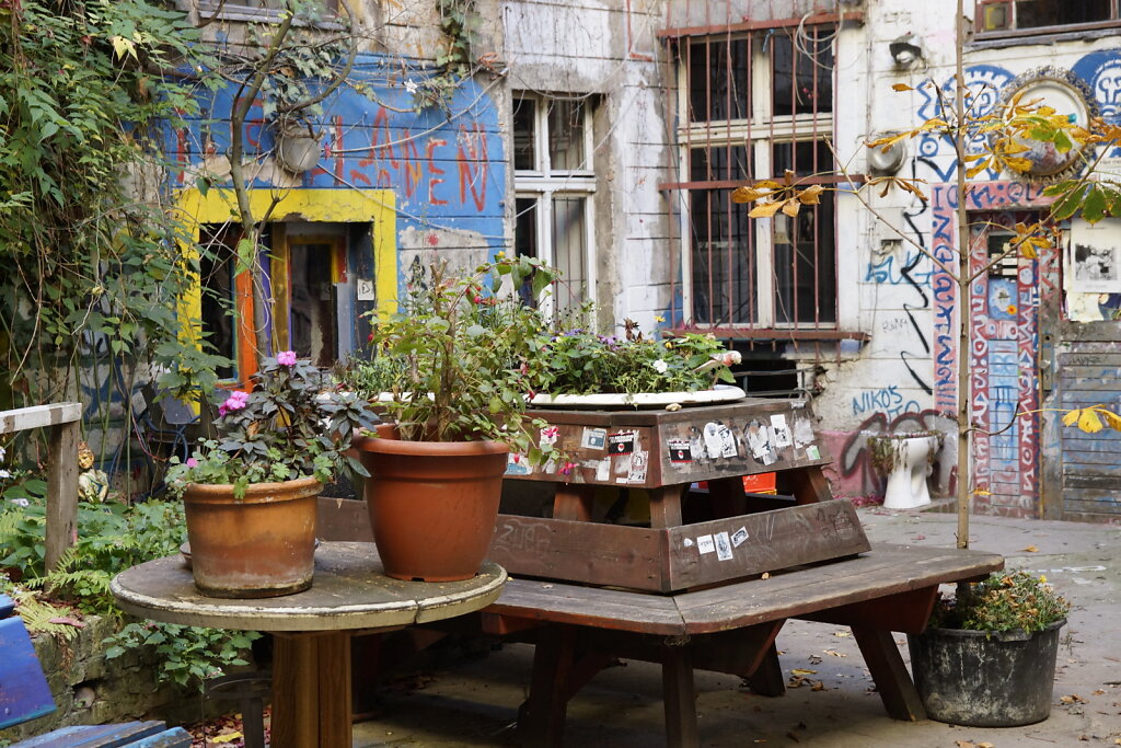 DSC2563.JPG