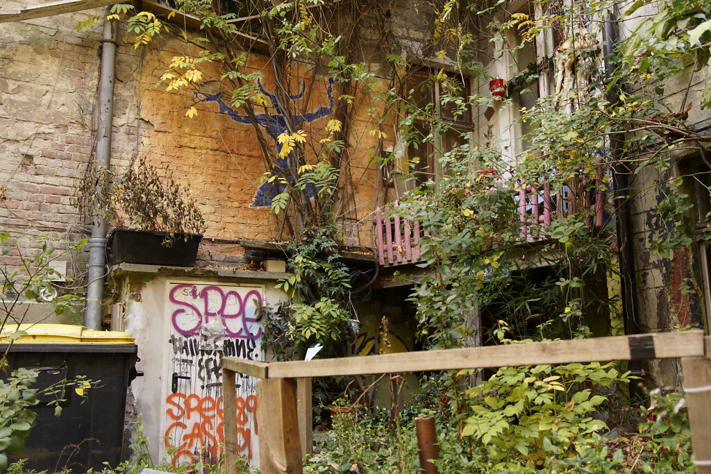 DSC2574.JPG