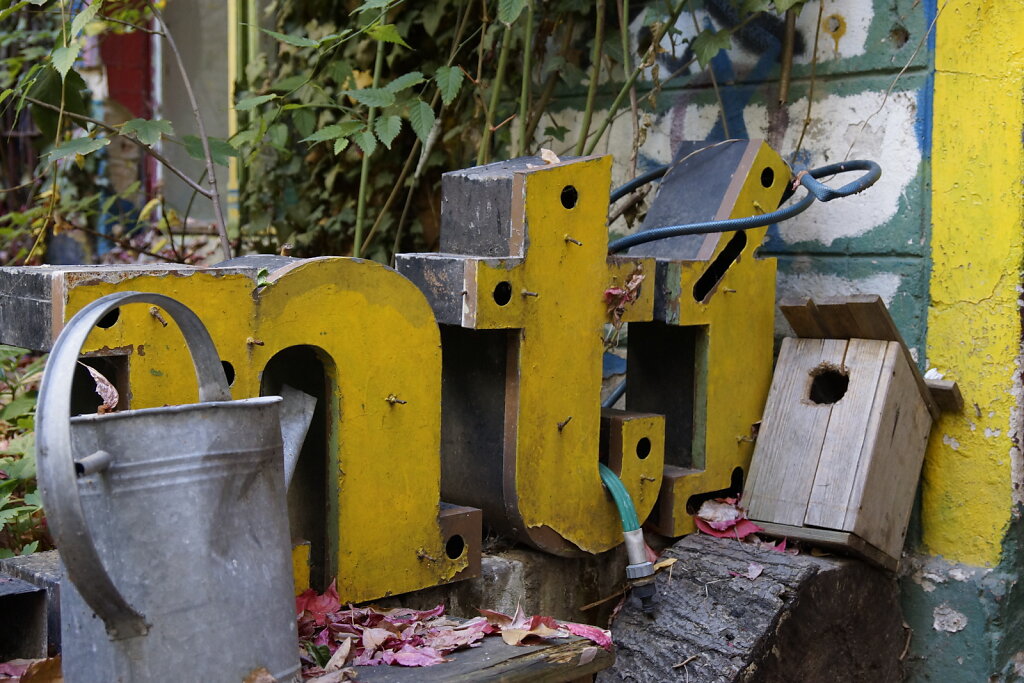 DSC2576.JPG