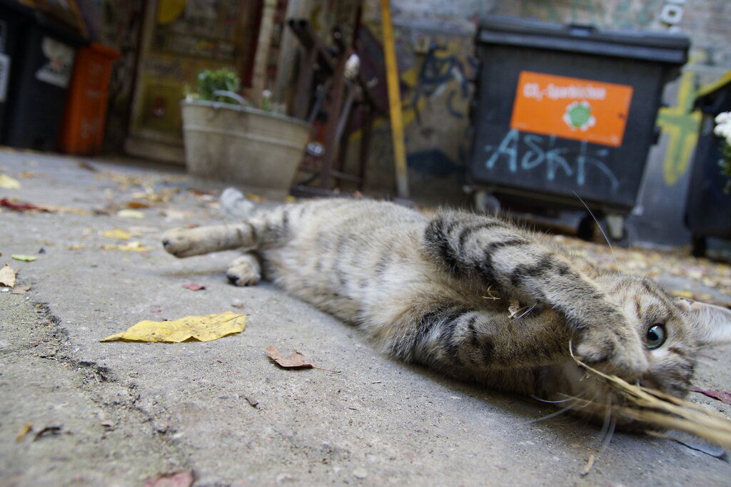 DSC2579.JPG