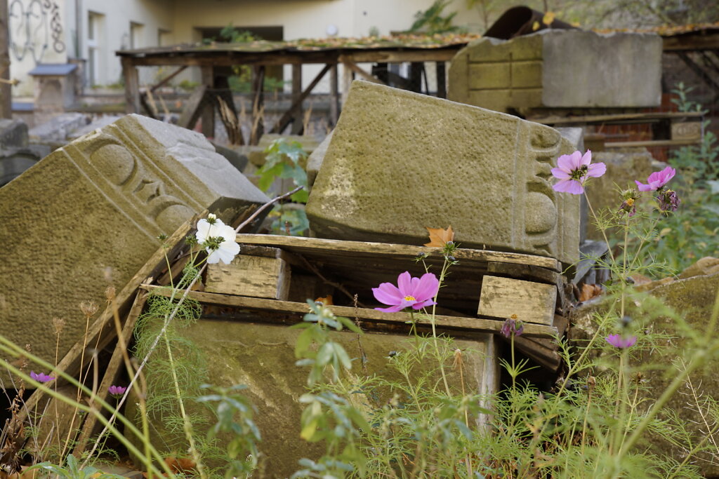 DSC2593.JPG