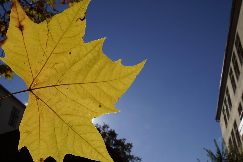 DSC2599.JPG