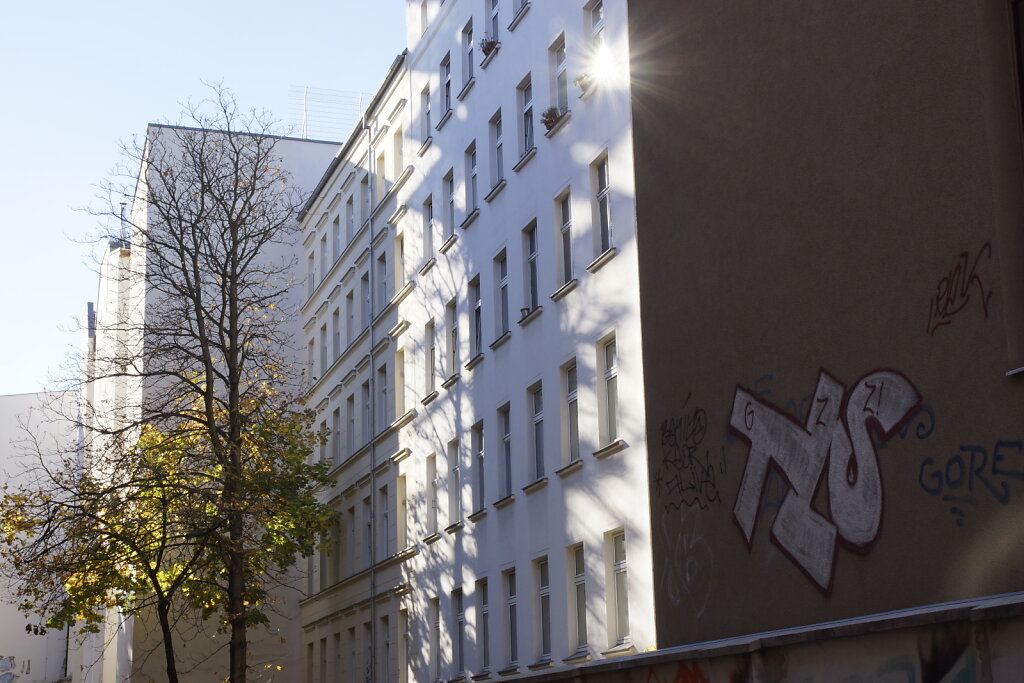 DSC2600.JPG